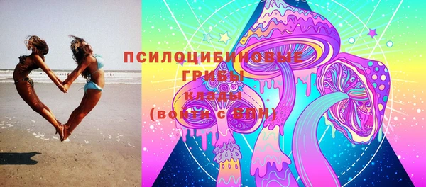 a pvp Алексин