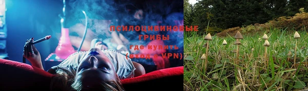 mdpv Алзамай