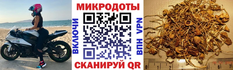 Галлюциногенные грибы GOLDEN TEACHER  Десногорск 